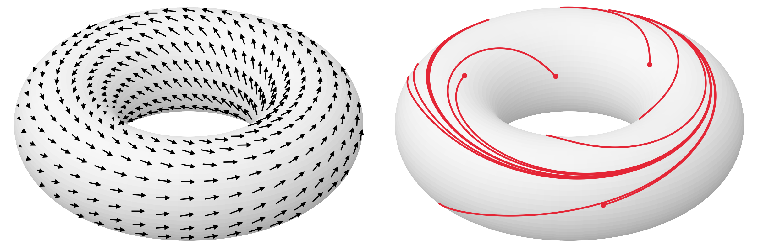 Left: a vector field on a torus (black arrows). Right: flow lines of the same field (red), converging to a loop.